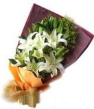 翁牛特旗鲜花速递